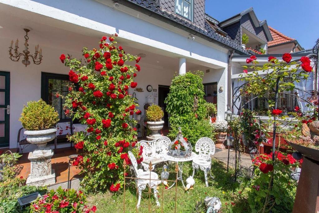 Cafesahne U Pension Dranske Exterior photo